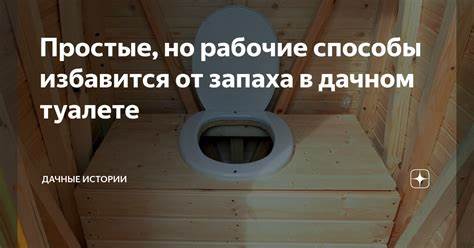 Какие химические препараты подойдут для удаления запахов