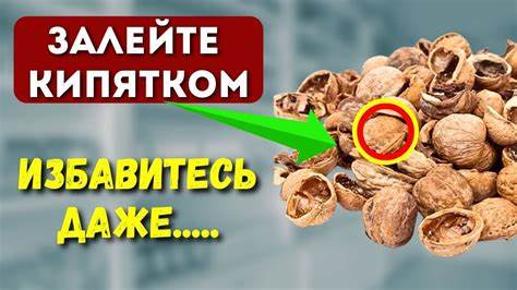 Как эффективно использовать скорлупу орехов на даче и дома для пользы и комфорта Как использовать скорлупу орехов на даче и дома | Полезно