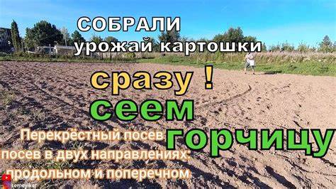 Правильный полив для оптимального роста