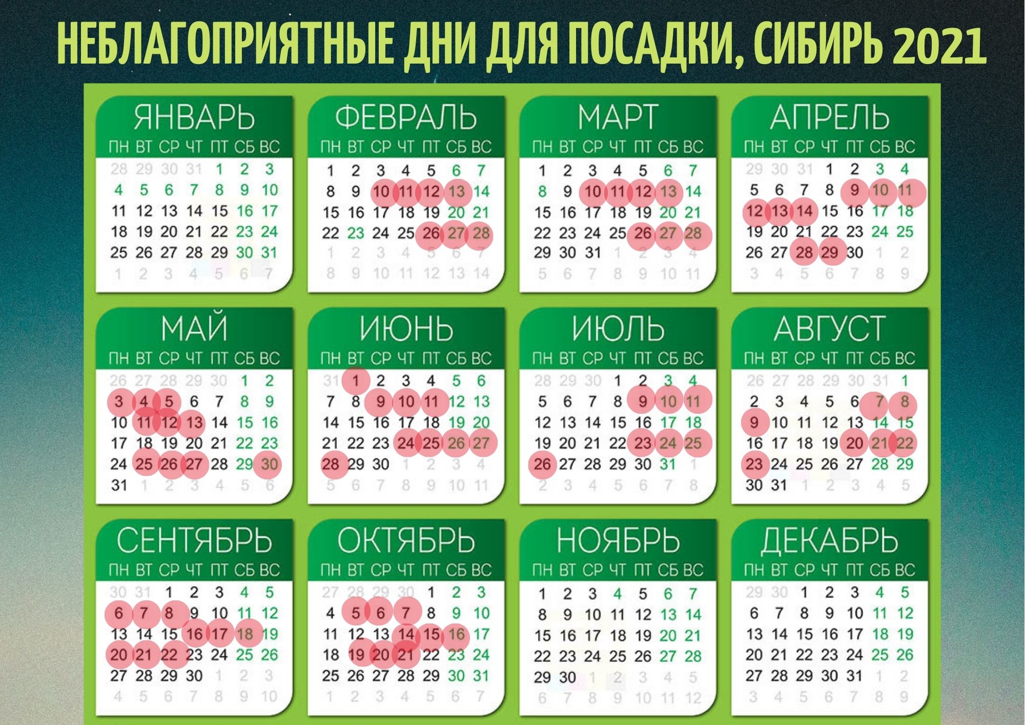 Определение оптимальных сроков посадки осеннего урожая в Подмосковье