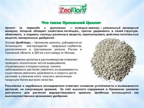 Улучшение качества почвы с помощью диатомита и повышение урожайности