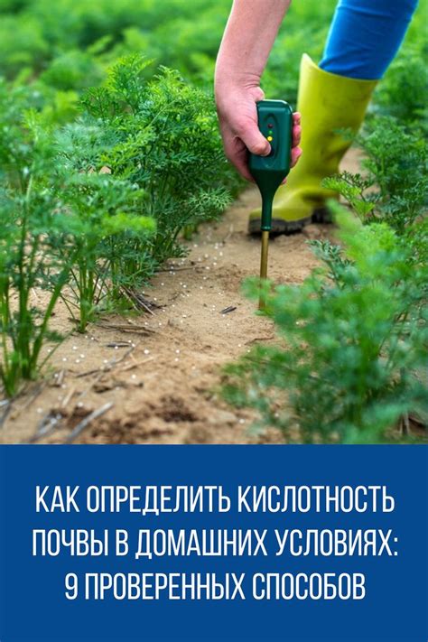 Интерпретация результатов теста и действия после