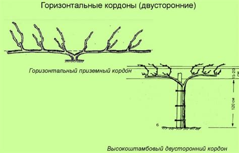 Чем и как укрывать, чтобы избежать выпревания и обмерзания
