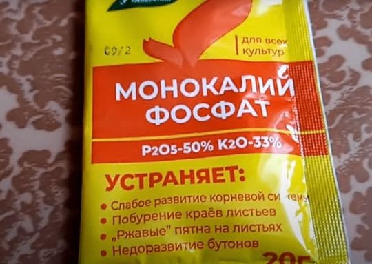 Влияние калийных удобрений на рост и плодоношение овощных и ягодных культур