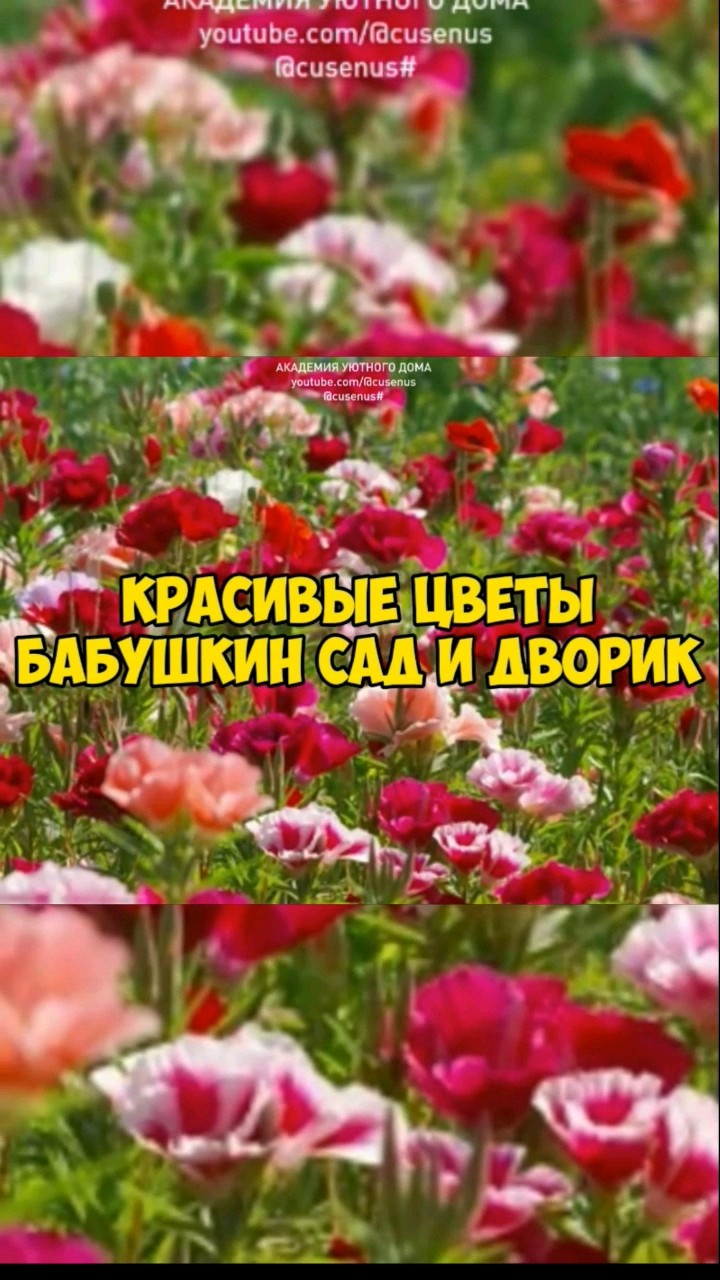 Уход за растениями в условиях меняющегося климата